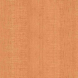 PAPEL TAPIZ 18"X9 MAPLE No. 03-586-12