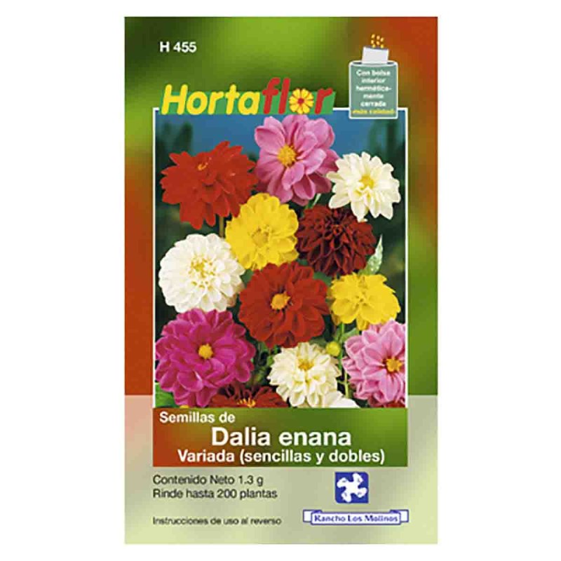 SEMILLA DALIA ENANA No. H455