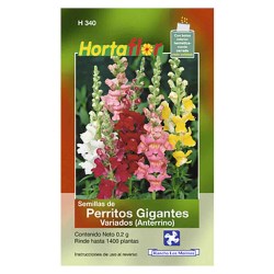 SEMILLA PERRITOSGIGANTES No. H340