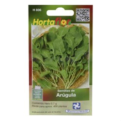 SEMILLA ARUGULA No. H836