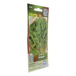 SEMILLA ARUGULA No. H836