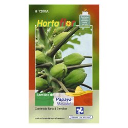 SEMILLA PAPAYA MARADOL No. H1200