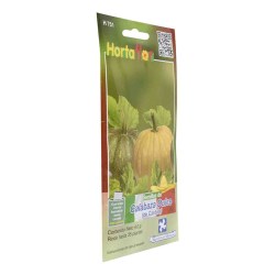 SEMILLA CALABAZA DULCE DE CASTILLA No. H751