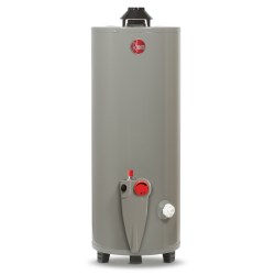 CALENTADOR DE AGUA 20 GALONES GAS LP RHEEM