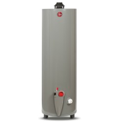 CALENTADOR AGUA 40 GALONES GAS NATURAL RHEEM