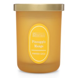 VELA AROMÁTICA PIÑA/MANGO No. PIÑA/MANGO / 437714