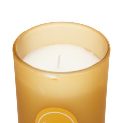 VELA AROMÁTICA PIÑA/MANGO No. PIÑA/MANGO / 437714