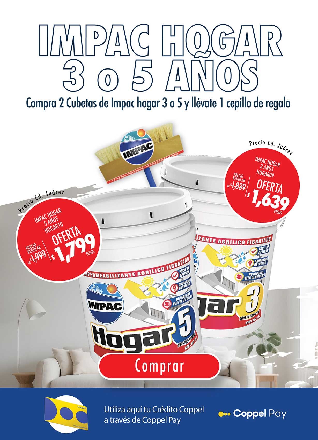 Imagen de carga